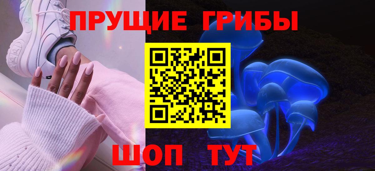 Галлюциногенные грибы Psilocybine cubensis  закладка  Обь  Вход с VPN 